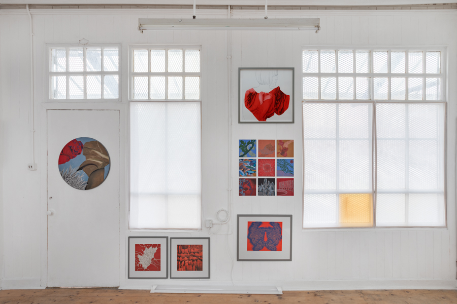 Sam Ainsley installation view